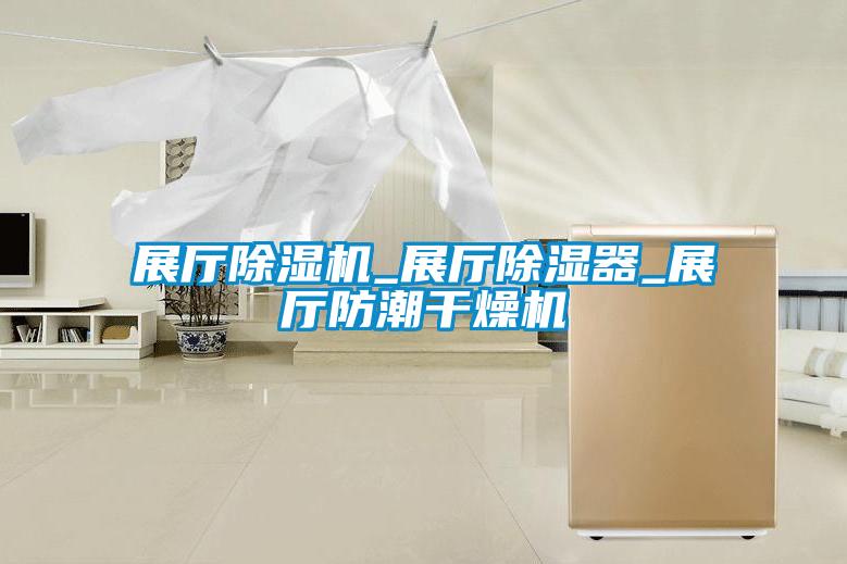 国产精品探花在线观看 展厅除湿机_展厅除湿器_展厅防潮干燥机