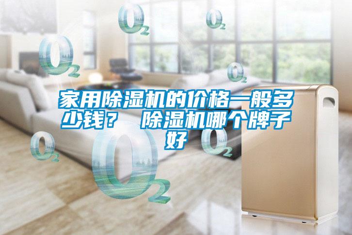国产精品欧美激情视频 家用除湿机的价格一般多少钱？ 除湿机哪个牌子好