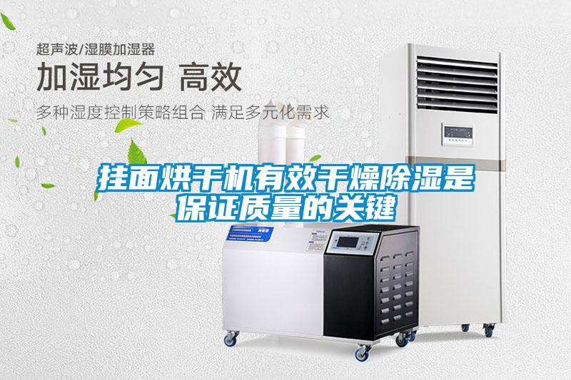 国产精品探花在线观看 挂面烘干机有效干燥除湿是保证质量的关键