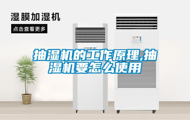 国产精品探花在线观看 抽湿机的工作原理,抽湿机要怎么使用