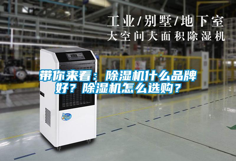 国产精品三级在线观看 带你来看：除湿机什么品牌好？除湿机怎么选购？