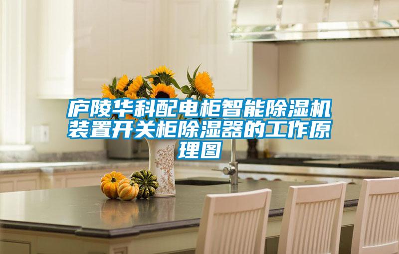 国产精品三级在线观看 庐陵华科配电柜智能除湿机装置开关柜除湿器的工作原理图