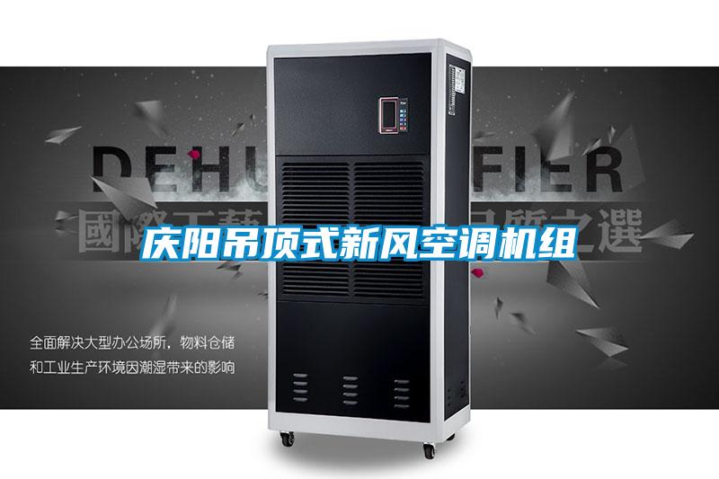 国产精品欧美激情视频 庆阳吊顶式新风空调机组