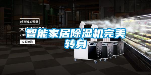 国产精品探花在线观看 智能家居除湿机完美转身