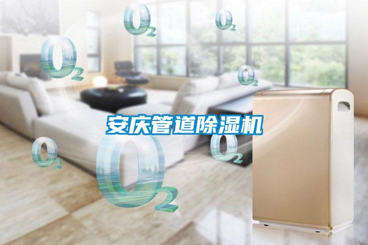 国产精品探花在线观看 安庆管道除湿机