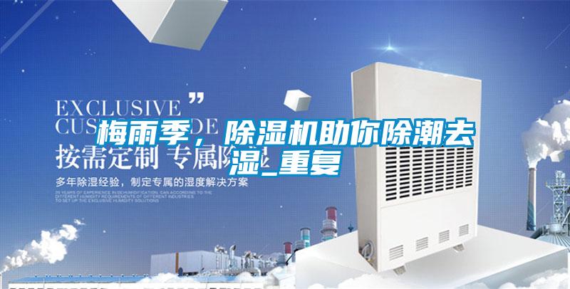 国产精品欧美激情视频 梅雨季，除湿机助你除潮去湿_重复