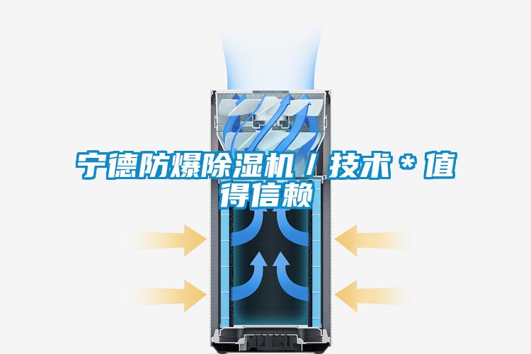 国产精品欧美激情视频 宁德防爆除湿机／技术＊值得信赖