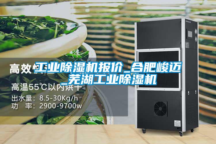 国产精品探花在线观看 工业除湿机报价_合肥峻迈_芜湖工业除湿机