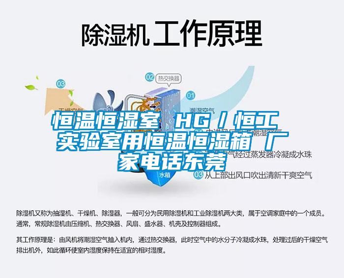 国产精品三级在线观看 恒温恒湿室 HG／恒工 实验室用恒温恒湿箱 厂家电话东莞