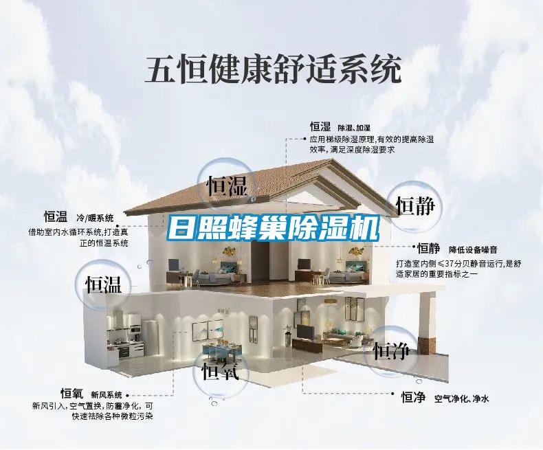 国产精品欧美激情视频 日照蜂巢除湿机