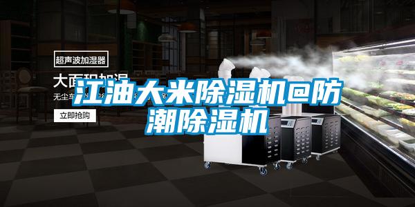 国产精品欧美激情视频 江油大米除湿机@防潮除湿机