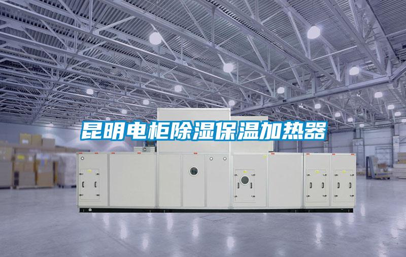 国产精品三级在线观看 昆明电柜除湿保温加热器
