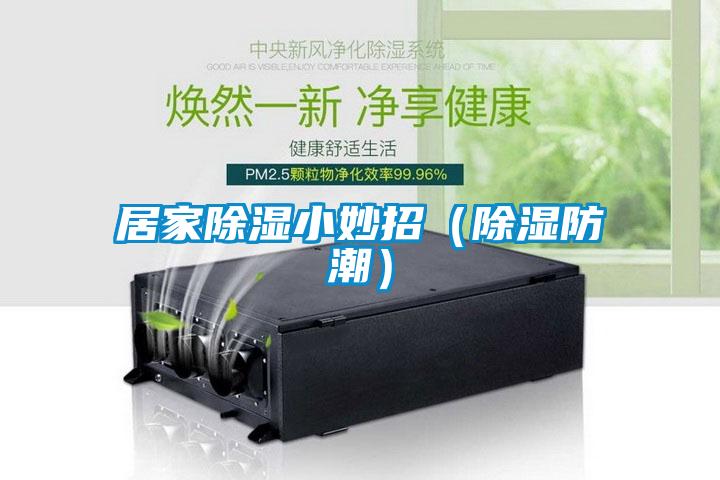 国产精品欧美激情视频 居家除湿小妙招（除湿防潮）