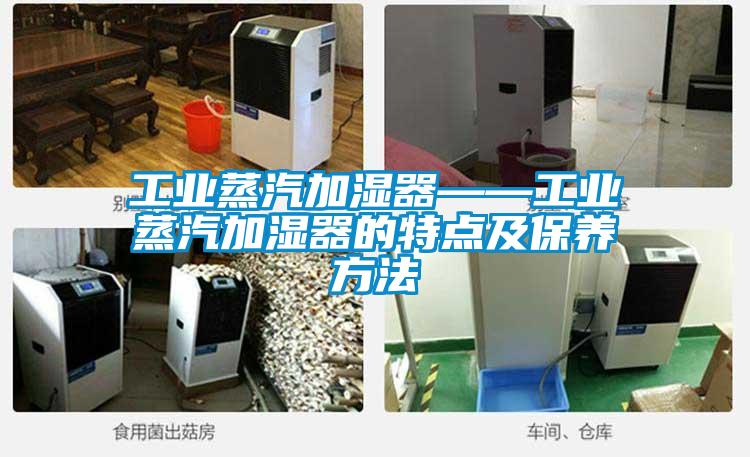国产精品欧美激情视频 工业蒸汽加湿器——工业蒸汽加湿器的特点及保养方法