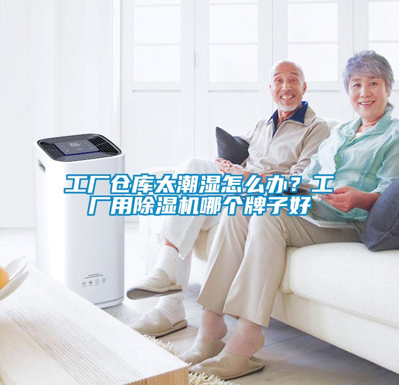 国产精品三级在线观看 工厂仓库太潮湿怎么办？工厂用除湿机哪个牌子好
