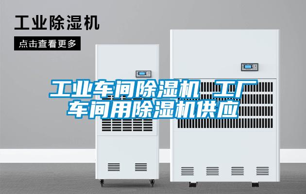 国产精品三级在线观看 工业车间除湿机 工厂车间用除湿机供应