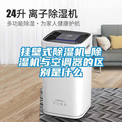 国产精品三级在线观看 挂壁式除湿机_除湿机与空调器的区别是什么
