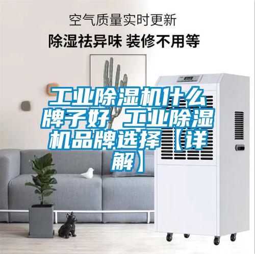 国产精品欧美激情视频 工业除湿机什么牌子好 工业除湿机品牌选择【详解】