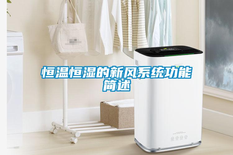 国产精品三级在线观看 恒温恒湿的新风系统功能简述