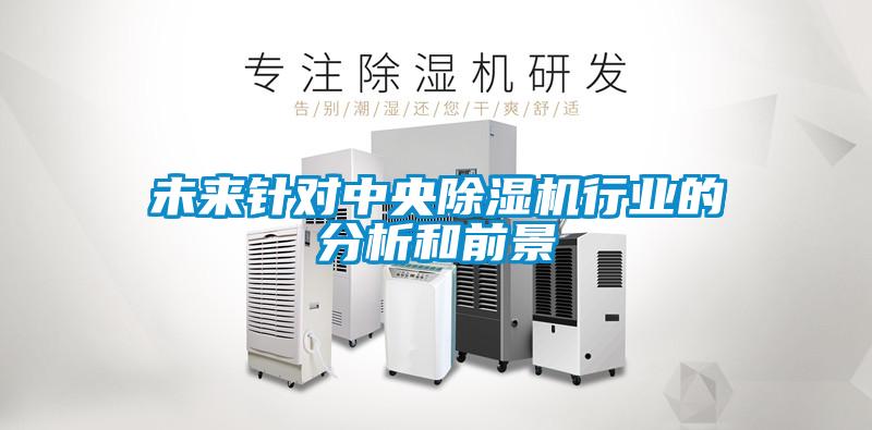 国产精品三级在线观看 未来针对中央除湿机行业的分析和前景