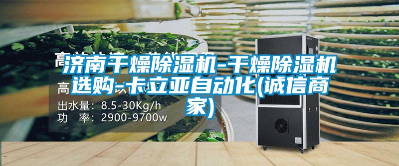 国产精品欧美激情视频 济南干燥除湿机-干燥除湿机选购-卡立亚自动化(诚信商家)