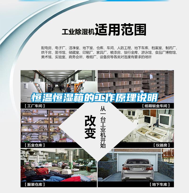 国产精品三级在线观看 恒温恒湿箱的工作原理说明