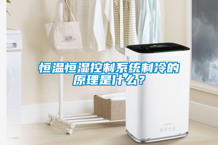 国产精品欧美激情视频 恒温恒湿控制系统制冷的原理是什么？