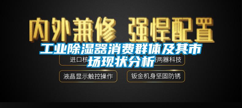 国产精品欧美激情视频 工业除湿器消费群体及其市场现状分析