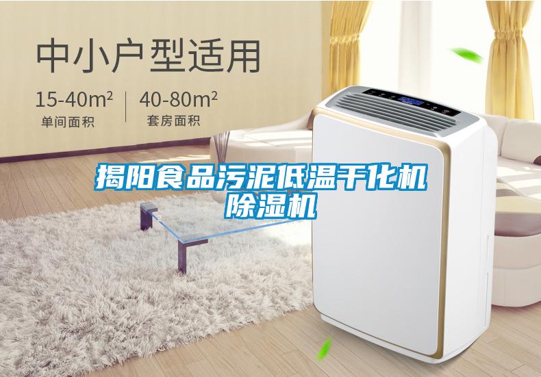 国产精品三级在线观看 揭阳食品污泥低温干化机 除湿机