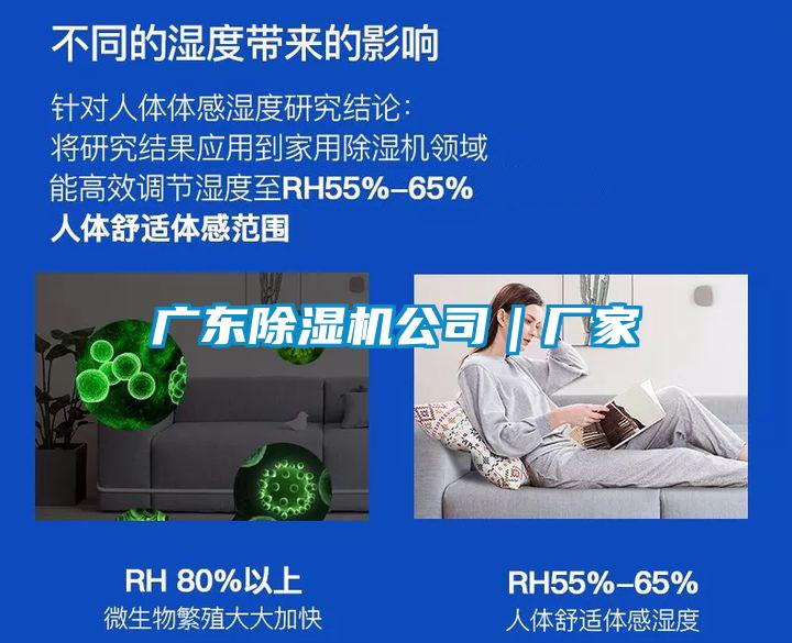 国产精品欧美激情视频 广东除湿机公司｜厂家