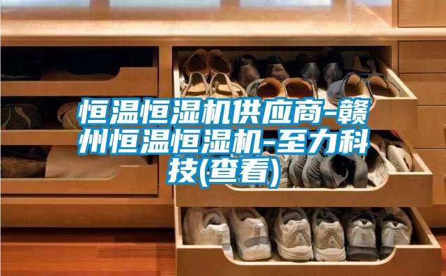 国产精品欧美激情视频 恒温恒湿机供应商-赣州恒温恒湿机-至力科技(查看)