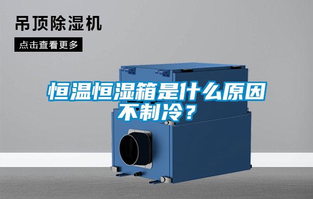 国产精品欧美激情视频 恒温恒湿箱是什么原因不制冷？