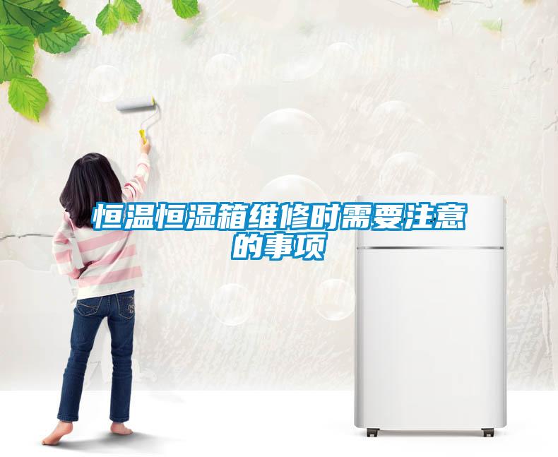 国产精品欧美激情视频 恒温恒湿箱维修时需要注意的事项