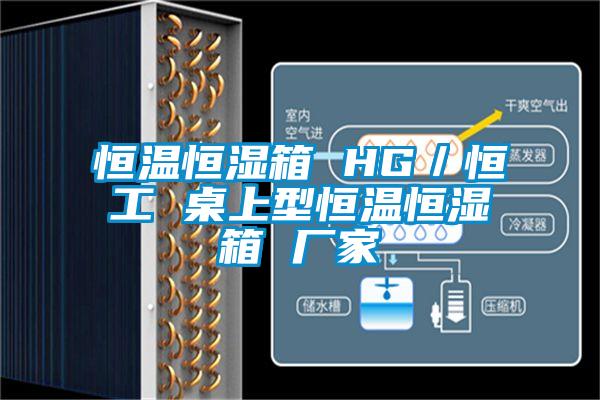 国产精品欧美激情视频 恒温恒湿箱 HG／恒工 桌上型恒温恒湿箱 厂家