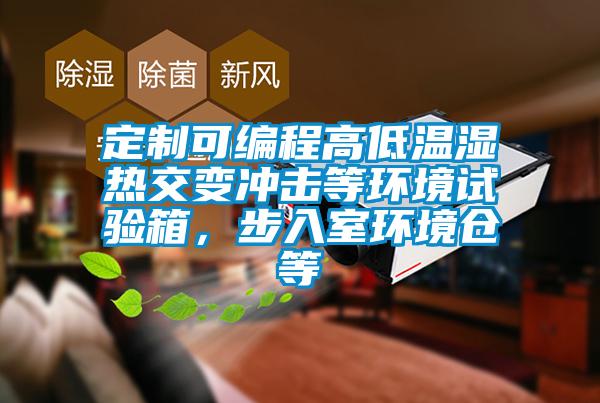 国产精品欧美激情视频 定制可编程高低温湿热交变冲击等环境试验箱，步入室环境仓等