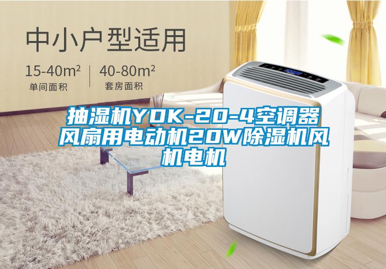 国产精品三级在线观看 抽湿机YDK-20-4空调器风扇用电动机20W除湿机风机电机