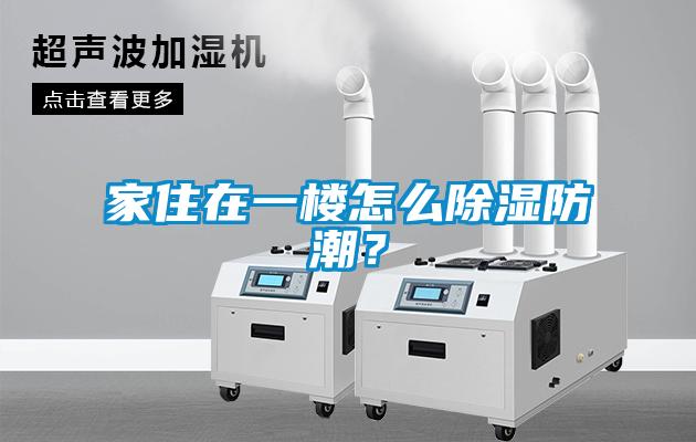 国产精品探花在线观看 家住在一楼怎么除湿防潮？