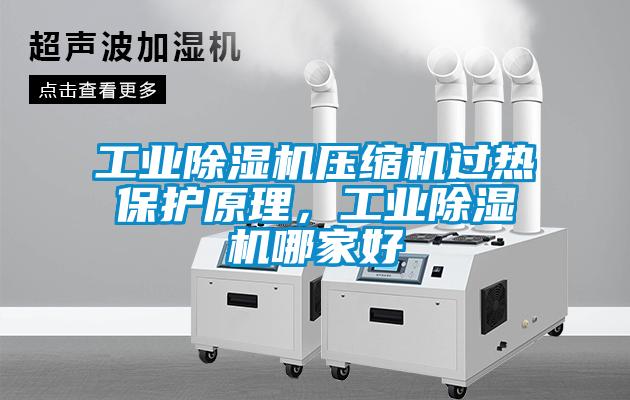 国产精品探花在线观看 工业除湿机压缩机过热保护原理，工业除湿机哪家好