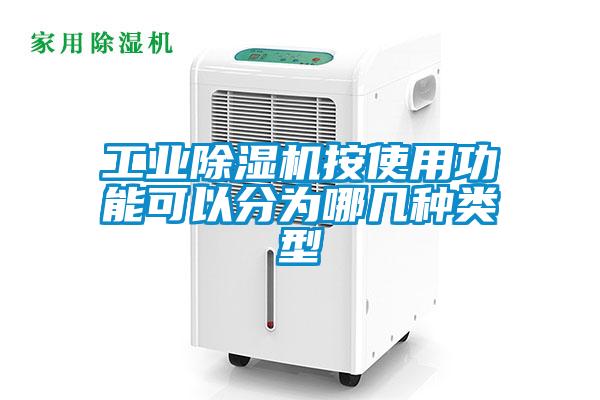 国产精品欧美激情视频 工业除湿机按使用功能可以分为哪几种类型