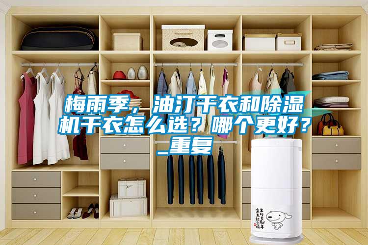 国产精品探花在线观看 梅雨季，油汀干衣和除湿机干衣怎么选？哪个更好？_重复