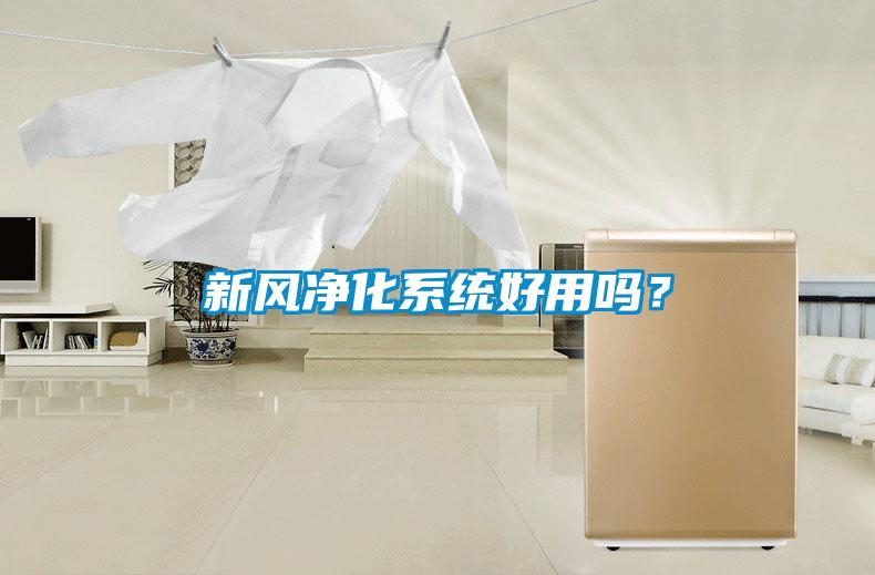 国产精品欧美激情视频 新风净化系统好用吗？