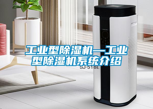 国产精品欧美激情视频 工业型除湿机—工业型除湿机系统介绍