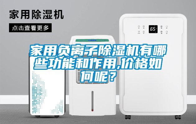 国产精品欧美激情视频 家用负离子除湿机有哪些功能和作用,价格如何呢？