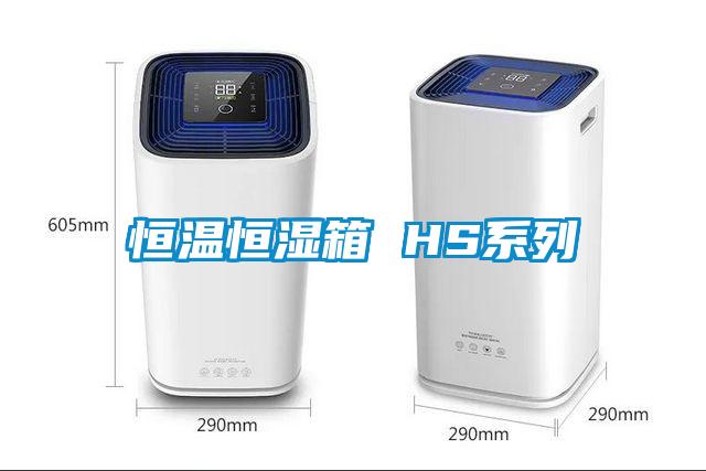 国产精品三级在线观看 恒温恒湿箱 HS系列