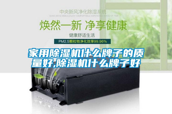 国产精品欧美激情视频 家用除湿机什么牌子的质量好,除湿机什么牌子好