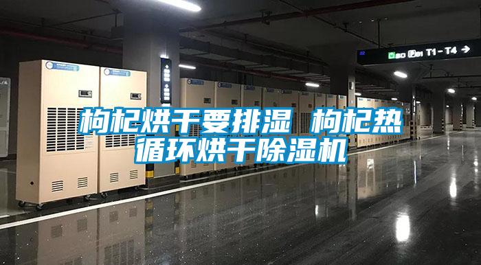 国产精品探花在线观看 枸杞烘干要排湿 枸杞热循环烘干除湿机
