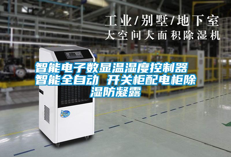 国产精品欧美激情视频 智能电子数显温湿度控制器 智能全自动 开关柜配电柜除湿防凝露