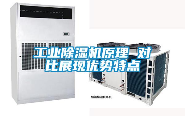 国产精品探花在线观看 工业除湿机原理 对比展现优势特点