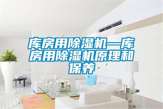 国产精品欧美激情视频 库房用除湿机—库房用除湿机原理和保养