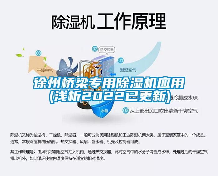 国产精品欧美激情视频 徐州桥梁专用除湿机应用(浅析2022已更新)